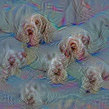 n02101388 Brittany spaniel